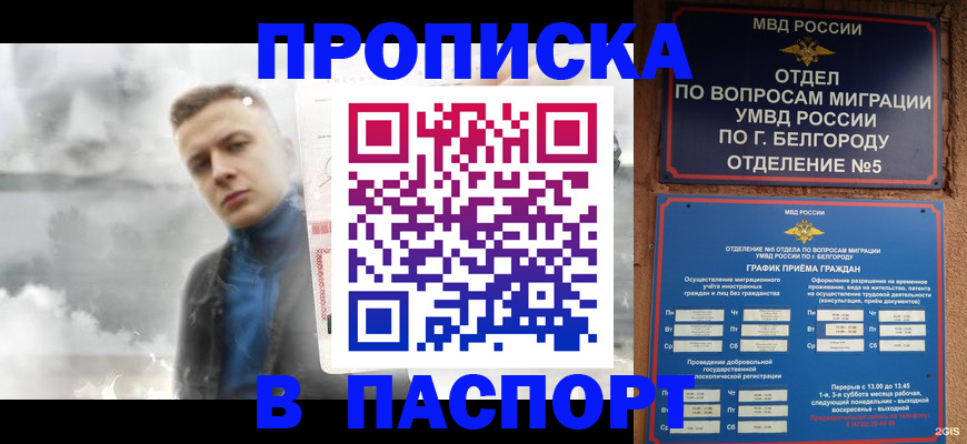 временная регистрация в Судогде